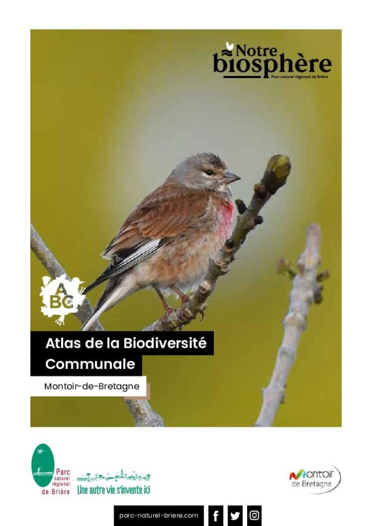 Image du document Livret ABC Biodiversité Montoir